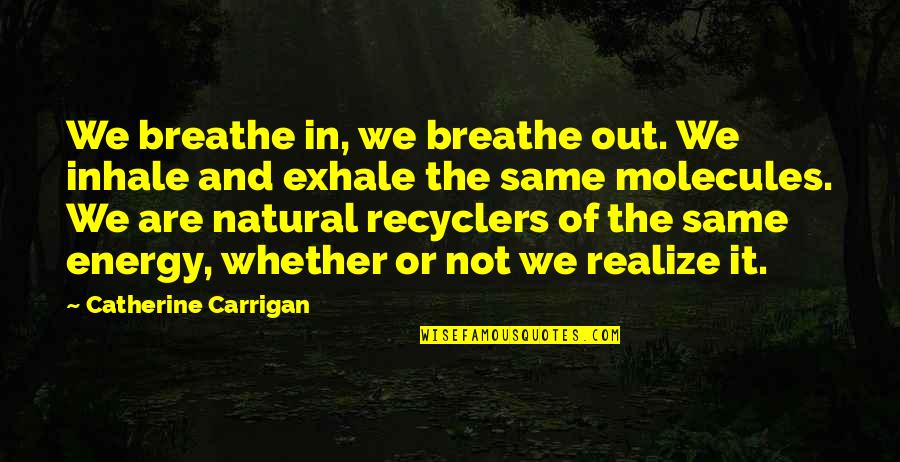 Childless Quotes By Catherine Carrigan: We breathe in, we breathe out. We inhale Childless Quotes By Catherine Carrigan: We breathe in, we breathe out. We inhale
