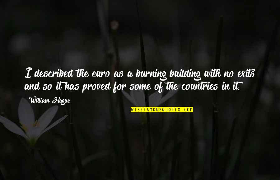 Childlessness Overcome Quotes By William Hague: I described the euro as a burning building