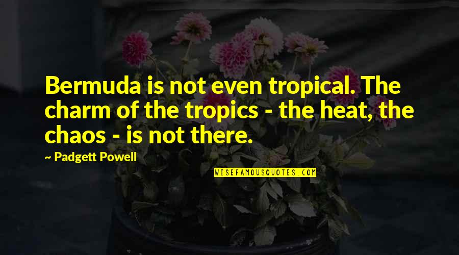 Childrelationship Quotes By Padgett Powell: Bermuda is not even tropical. The charm of Childrelationship Quotes By Padgett Powell: Bermuda is not even tropical. The charm of