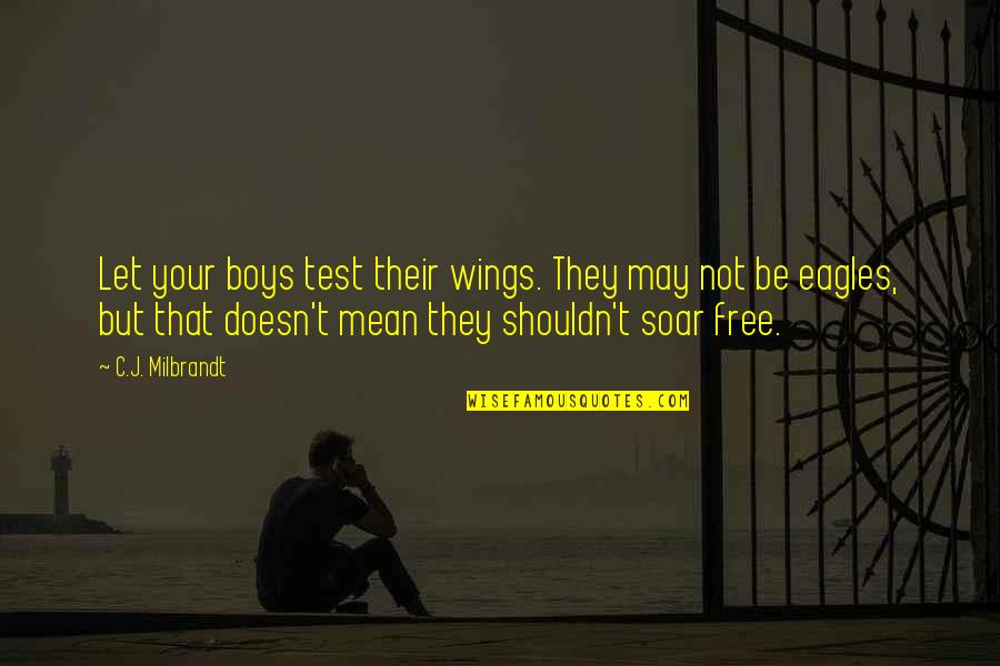 Children All Boys Quotes By C.J. Milbrandt: Let your boys test their wings. They may