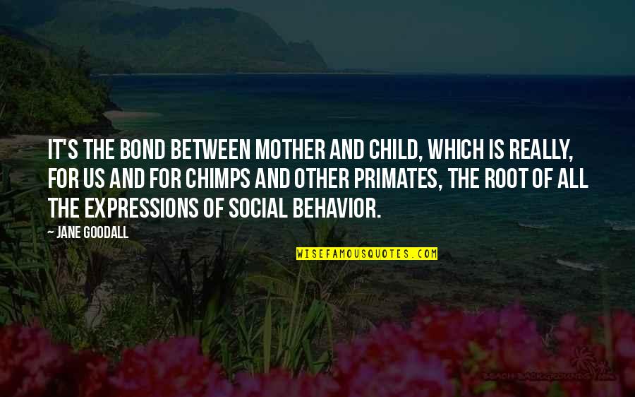 Children's Behavior Quotes By Jane Goodall: It's the bond between mother and child, which Children's Behavior Quotes By Jane Goodall: It's the bond between mother and child, which