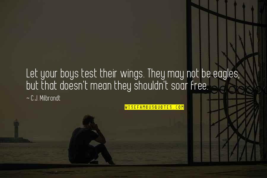 Children's Literature Quotes By C.J. Milbrandt: Let your boys test their wings. They may