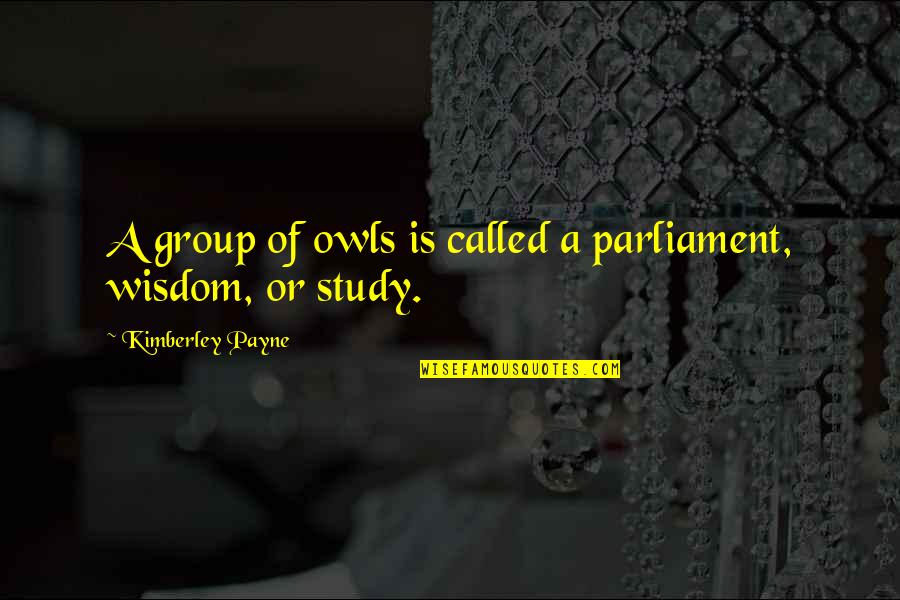 Children's Wisdom Quotes By Kimberley Payne: A group of owls is called a parliament,