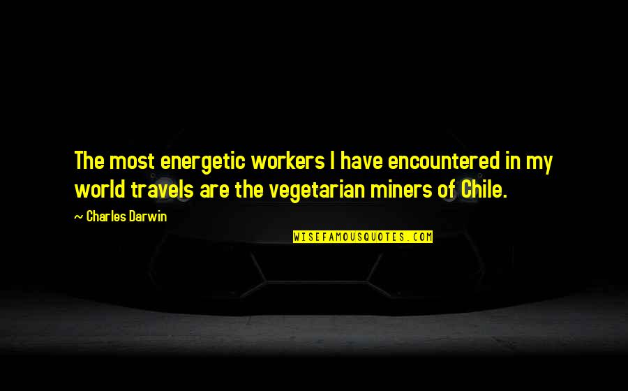 Chile Quotes By Charles Darwin: The most energetic workers I have encountered in
