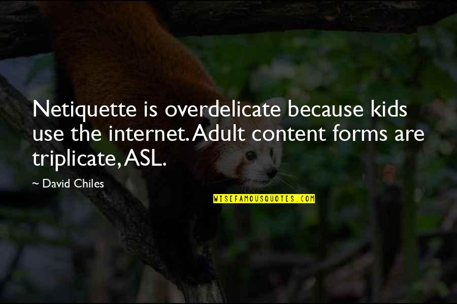 Chiles Quotes By David Chiles: Netiquette is overdelicate because kids use the internet.