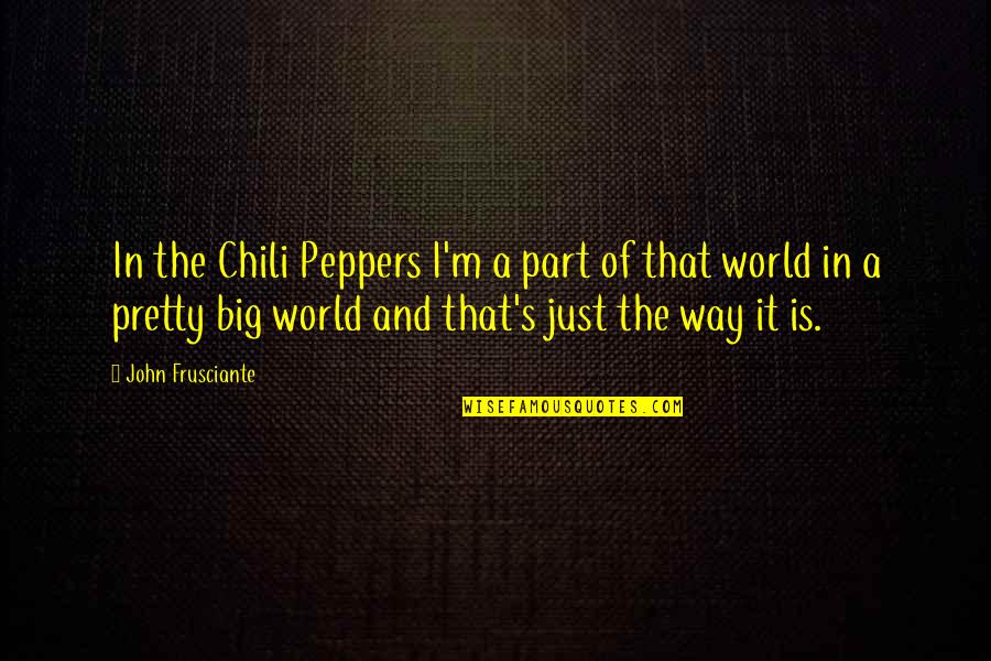 Chili Peppers Quotes By John Frusciante: In the Chili Peppers I'm a part of
