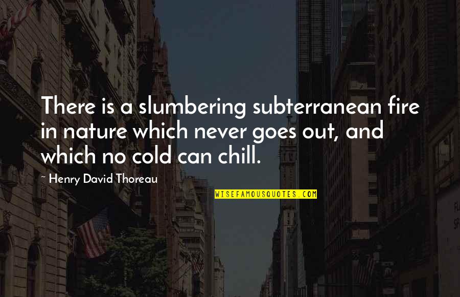 Chill Out Quotes By Henry David Thoreau: There is a slumbering subterranean fire in nature