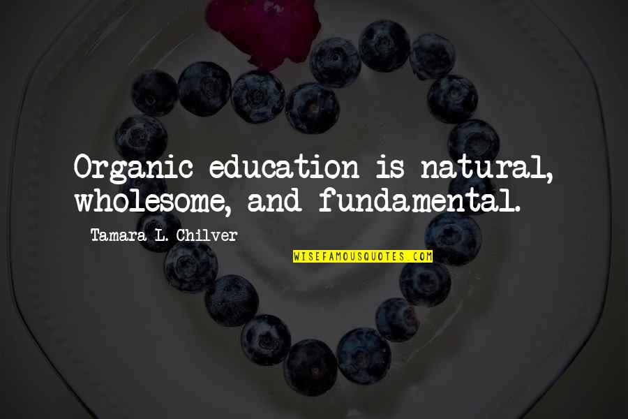 Chilver Quotes By Tamara L. Chilver: Organic education is natural, wholesome, and fundamental.