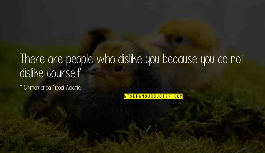 Chimamanda Adichie Love Quotes By Chimamanda Ngozi Adichie: There are people who dislike you because you Chimamanda Adichie Love Quotes By Chimamanda Ngozi Adichie: There are people who dislike you because you