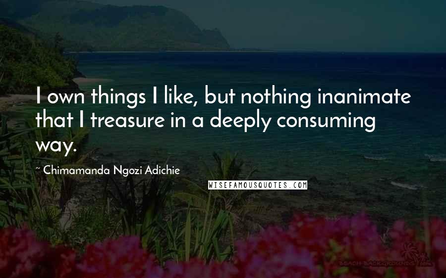 Chimamanda Ngozi Adichie quotes: I own things I like, but nothing inanimate that I treasure in a deeply consuming way.