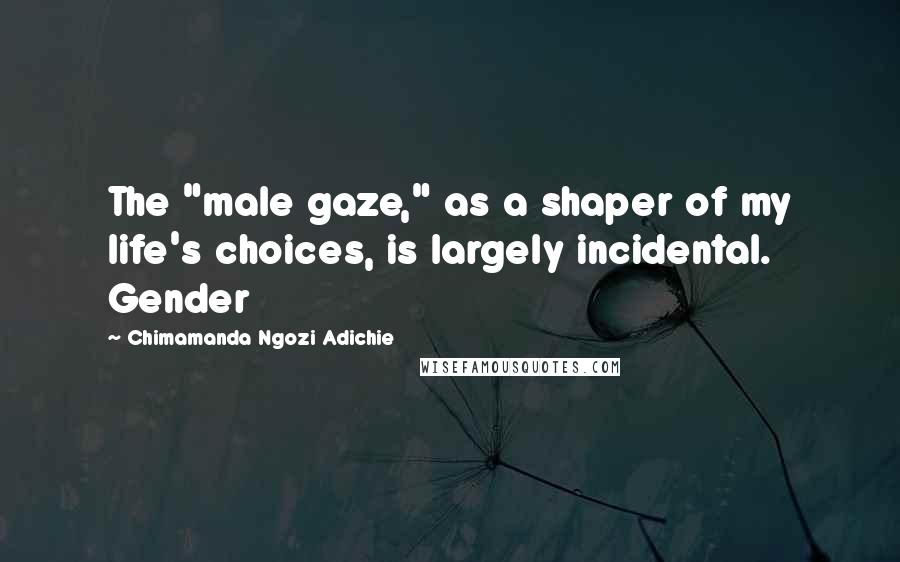 Chimamanda Ngozi Adichie quotes: The "male gaze," as a shaper of my life's choices, is largely incidental. Gender