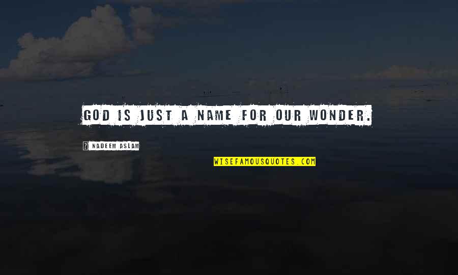 Chimenti Family Quotes By Nadeem Aslam: God is just a name for our wonder.