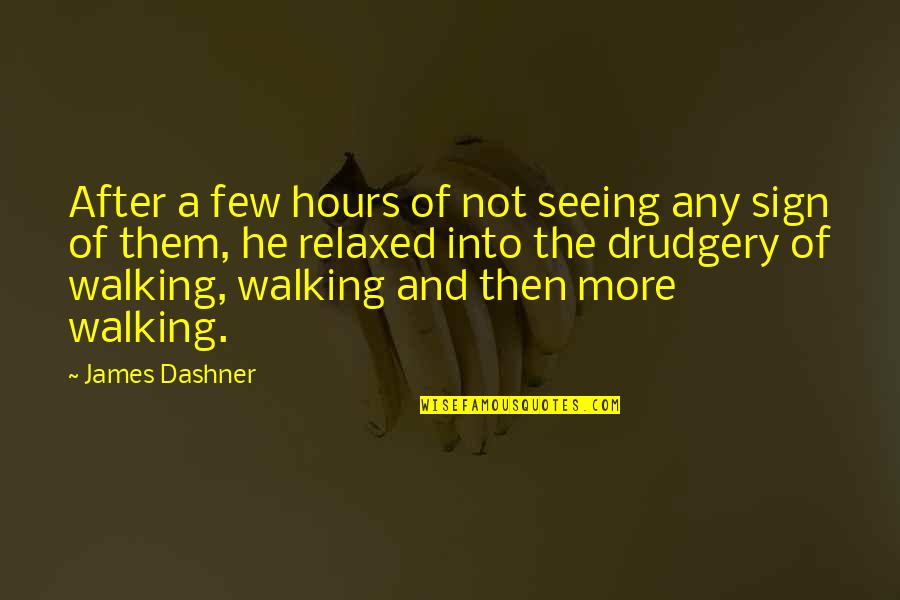 Chimmney Quotes By James Dashner: After a few hours of not seeing any