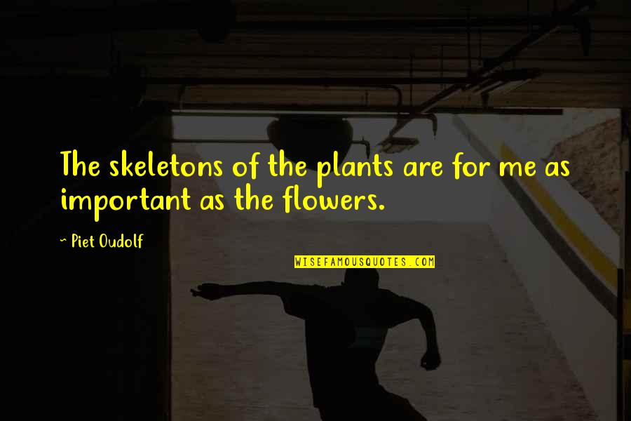 Chimonides Quotes By Piet Oudolf: The skeletons of the plants are for me