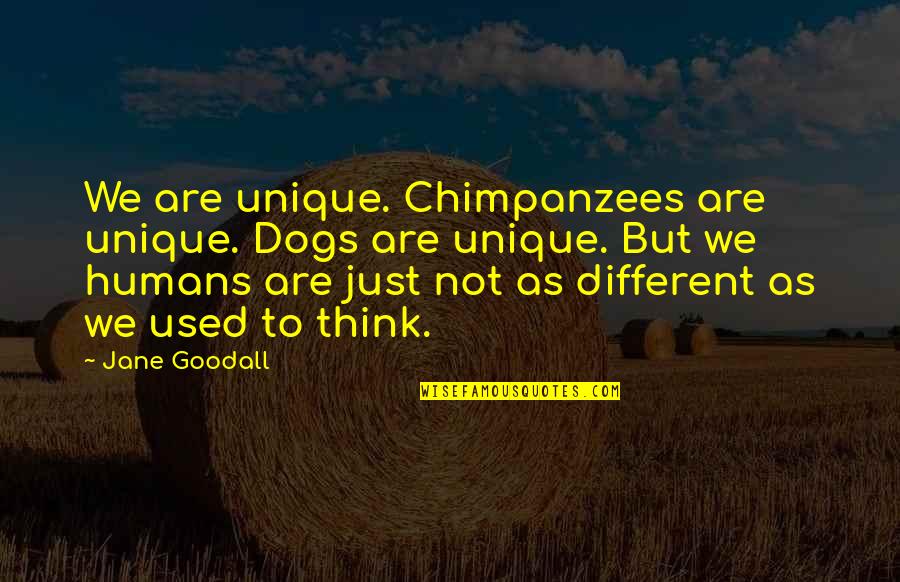 Chimpanzees Quotes By Jane Goodall: We are unique. Chimpanzees are unique. Dogs are