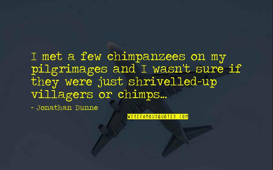 Chimpanzees Quotes By Jonathan Dunne: I met a few chimpanzees on my pilgrimages