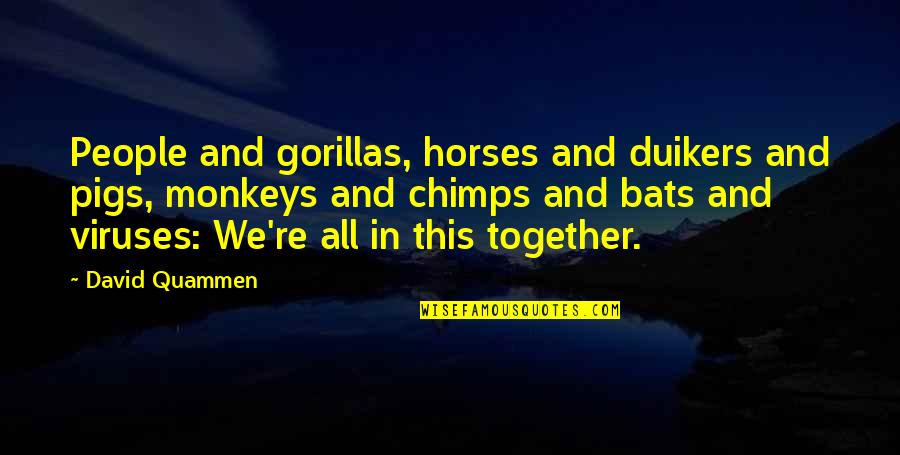 Chimps Quotes By David Quammen: People and gorillas, horses and duikers and pigs, Chimps Quotes By David Quammen: People and gorillas, horses and duikers and pigs,