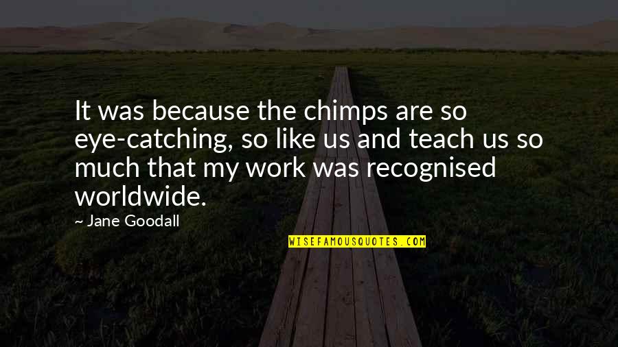 Chimps Quotes By Jane Goodall: It was because the chimps are so eye-catching, Chimps Quotes By Jane Goodall: It was because the chimps are so eye-catching,