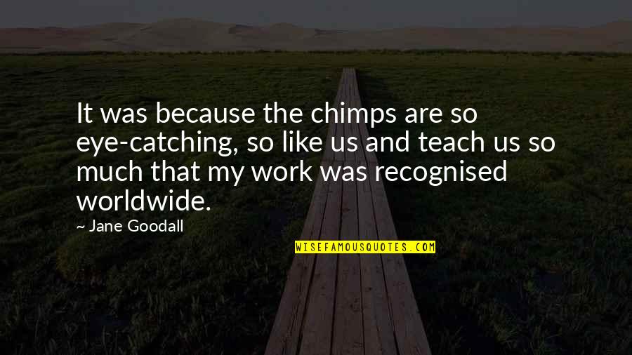 Chimps Quotes By Jane Goodall: It was because the chimps are so eye-catching,