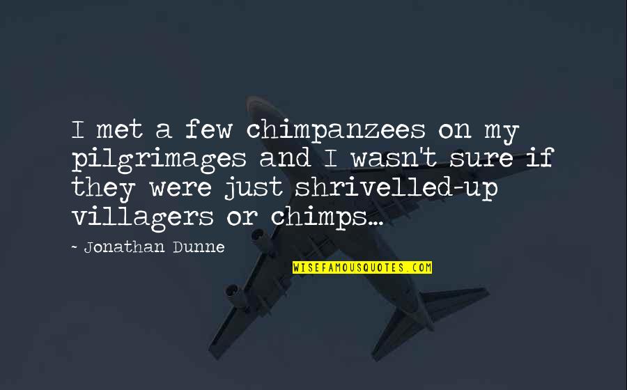 Chimps Quotes By Jonathan Dunne: I met a few chimpanzees on my pilgrimages Chimps Quotes By Jonathan Dunne: I met a few chimpanzees on my pilgrimages