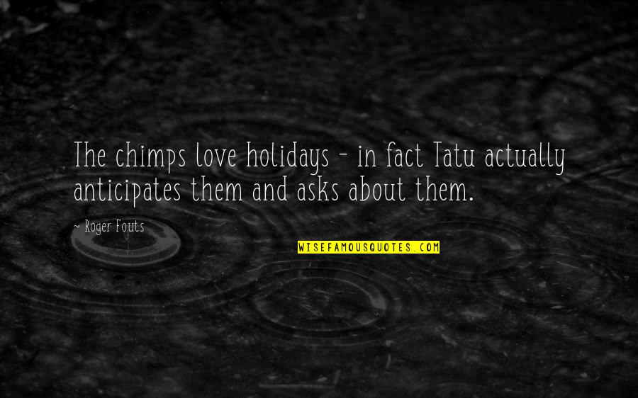 Chimps Quotes By Roger Fouts: The chimps love holidays - in fact Tatu Chimps Quotes By Roger Fouts: The chimps love holidays - in fact Tatu