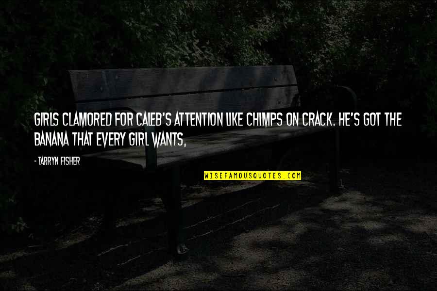Chimps Quotes By Tarryn Fisher: Girls clamored for Caleb's attention like chimps on