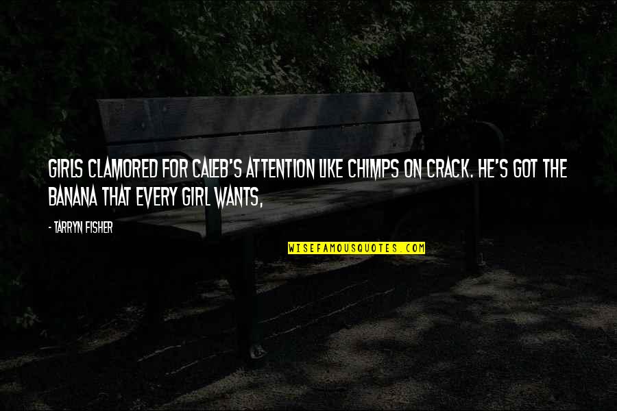 Chimps Quotes By Tarryn Fisher: Girls clamored for Caleb's attention like chimps on Chimps Quotes By Tarryn Fisher: Girls clamored for Caleb's attention like chimps on