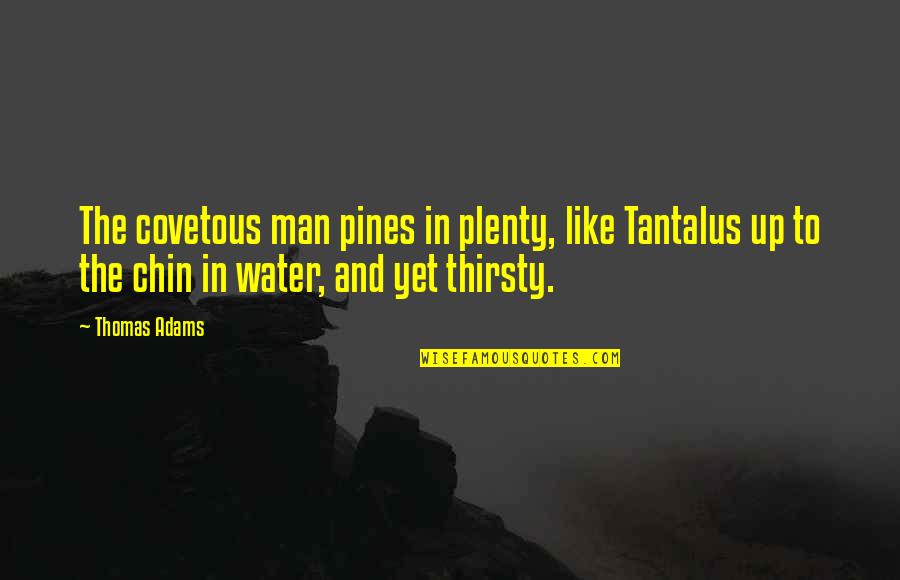 Chin Up Quotes By Thomas Adams: The covetous man pines in plenty, like Tantalus