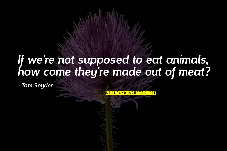 Chinaryan Quotes By Tom Snyder: If we're not supposed to eat animals, how