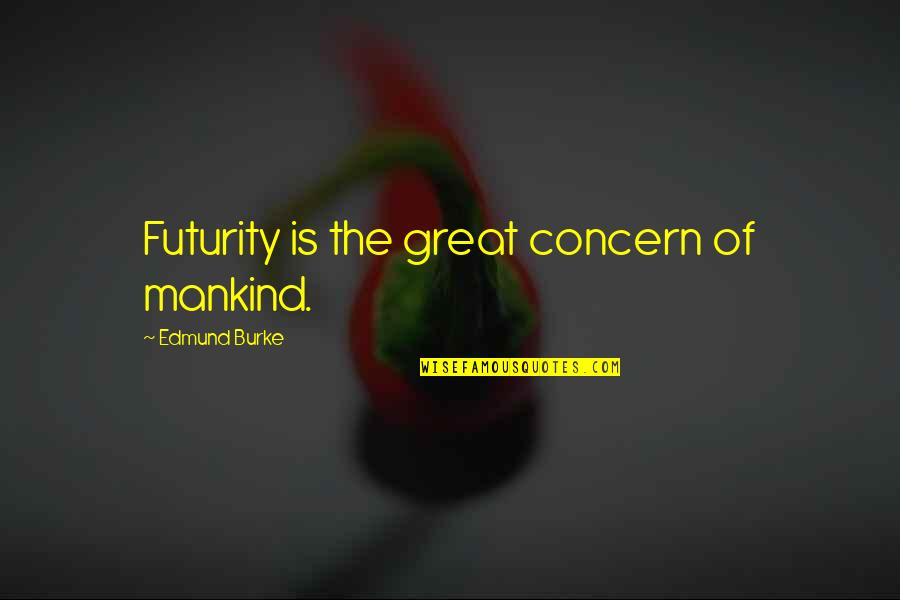 Chincha En Quotes By Edmund Burke: Futurity is the great concern of mankind.
