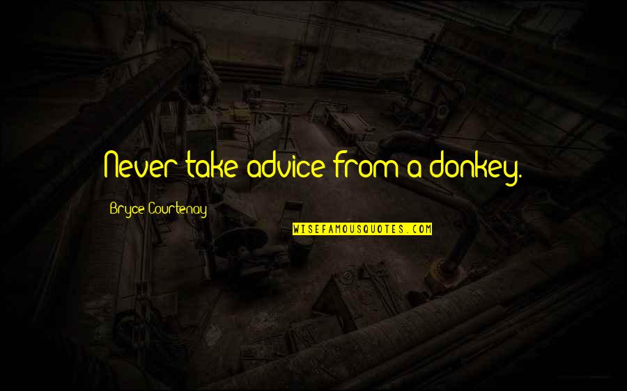 Chinese Zodiac Quotes By Bryce Courtenay: Never take advice from a donkey.