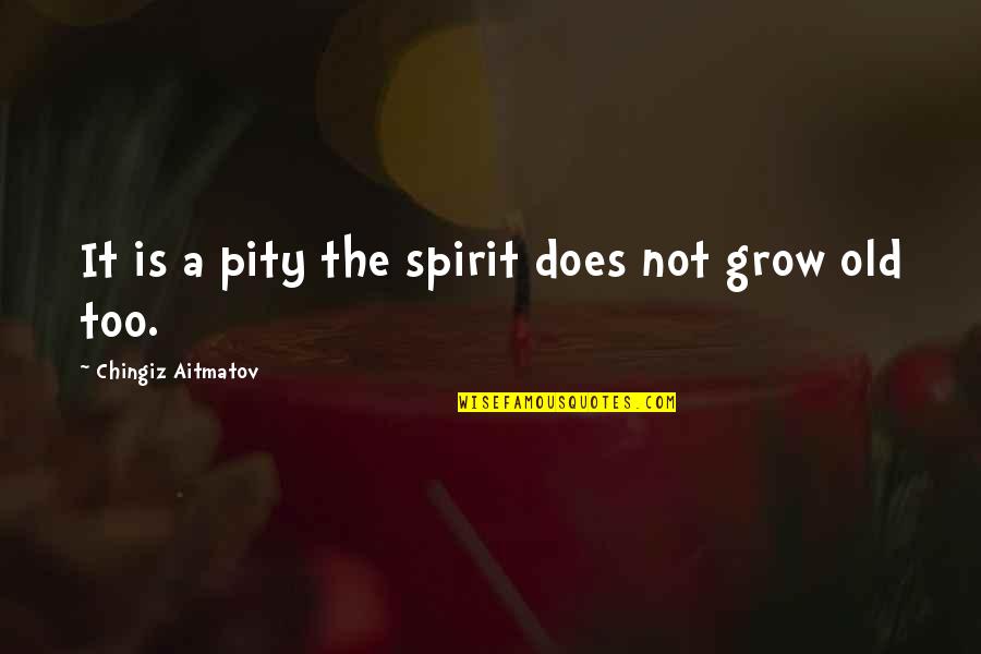 Chingiz Aitmatov Quotes By Chingiz Aitmatov: It is a pity the spirit does not Chingiz Aitmatov Quotes By Chingiz Aitmatov: It is a pity the spirit does not