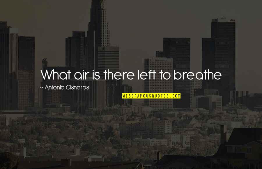 Chingy Pullin Quotes By Antonio Cisneros: What air is there left to breathe Chingy Pullin Quotes By Antonio Cisneros: What air is there left to breathe