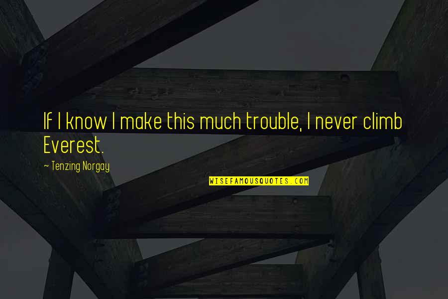 Chinmaya Mission Quotes By Tenzing Norgay: If I know I make this much trouble, Chinmaya Mission Quotes By Tenzing Norgay: If I know I make this much trouble,