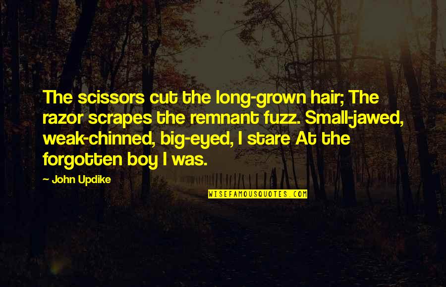 Chinned Quotes By John Updike: The scissors cut the long-grown hair; The razor