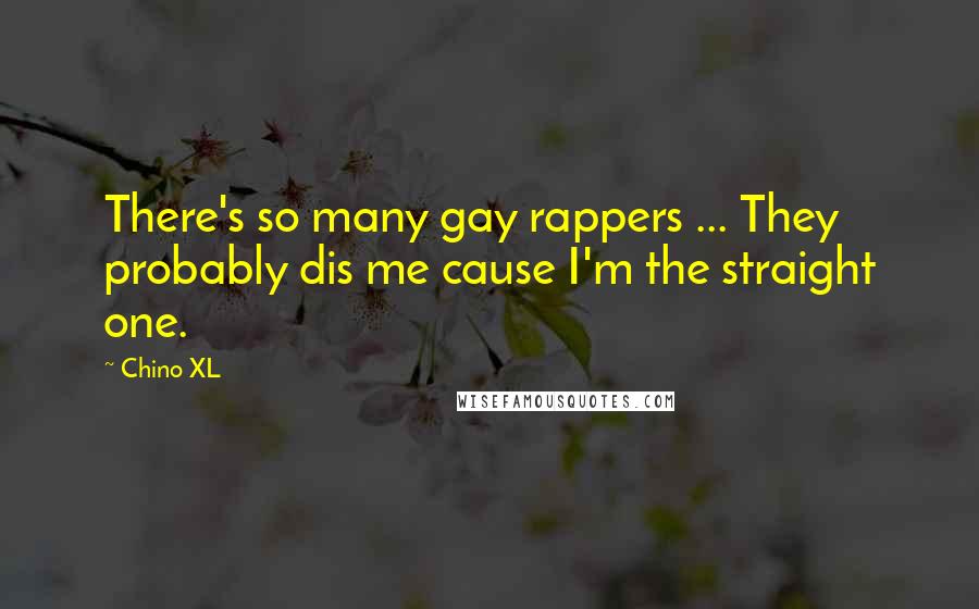 Chino XL quotes: There's so many gay rappers ... They probably dis me cause I'm the straight one.
