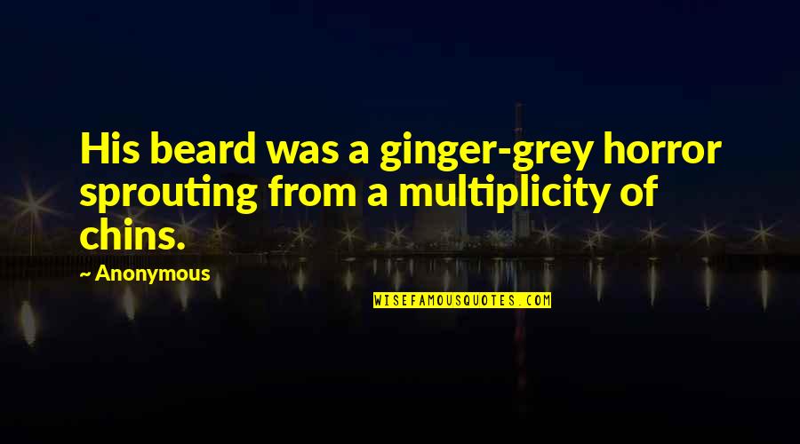 Chins Quotes By Anonymous: His beard was a ginger-grey horror sprouting from