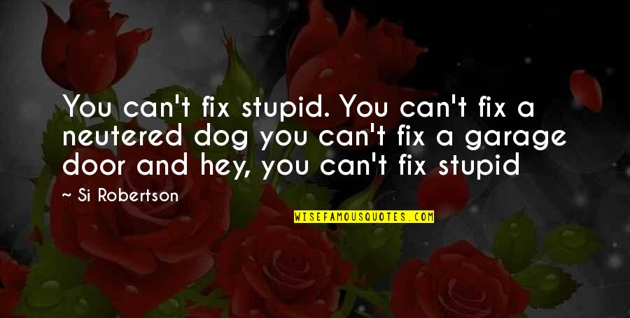 Chintana Mai Quotes By Si Robertson: You can't fix stupid. You can't fix a