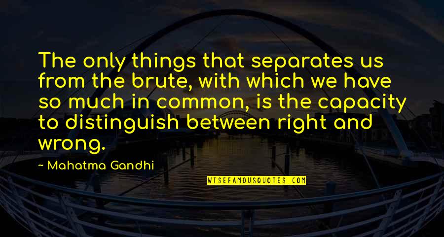 Chiocciola Internet Quotes By Mahatma Gandhi: The only things that separates us from the