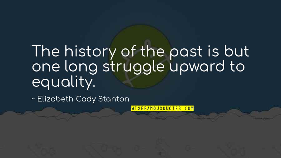 Chip On Your Shoulder Quotes By Elizabeth Cady Stanton: The history of the past is but one