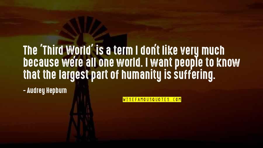 Chip Teacup Quotes By Audrey Hepburn: The 'Third World' is a term I don't Chip Teacup Quotes By Audrey Hepburn: The 'Third World' is a term I don't