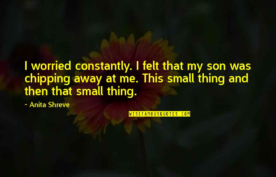 Chipping Quotes By Anita Shreve: I worried constantly. I felt that my son