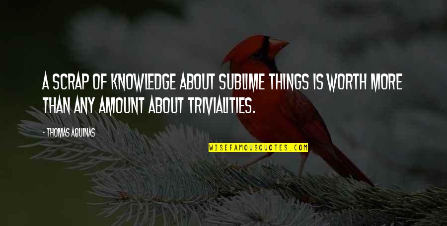 Chippings Quotes By Thomas Aquinas: A scrap of knowledge about sublime things is