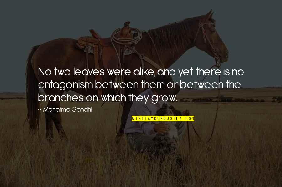Chipputtanddrive Quotes By Mahatma Gandhi: No two leaves were alike, and yet there