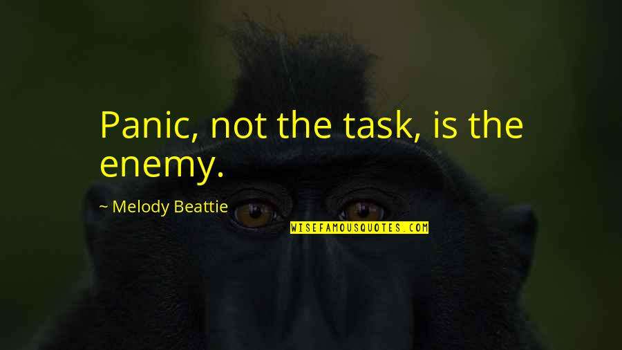 Chirosupply Quotes By Melody Beattie: Panic, not the task, is the enemy.