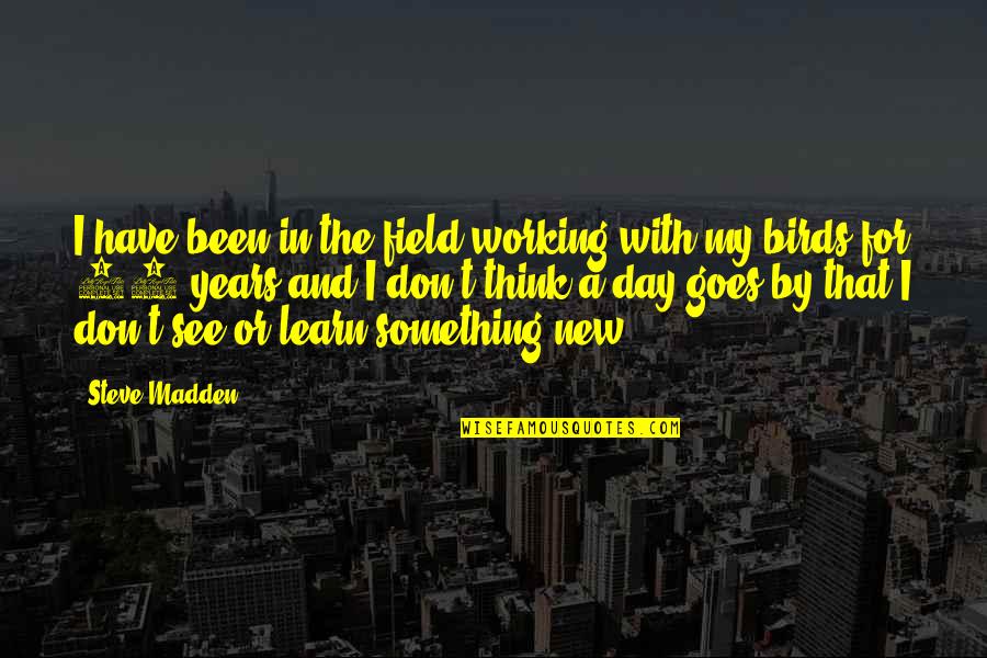 Chirpy Top Quotes By Steve Madden: I have been in the field working with