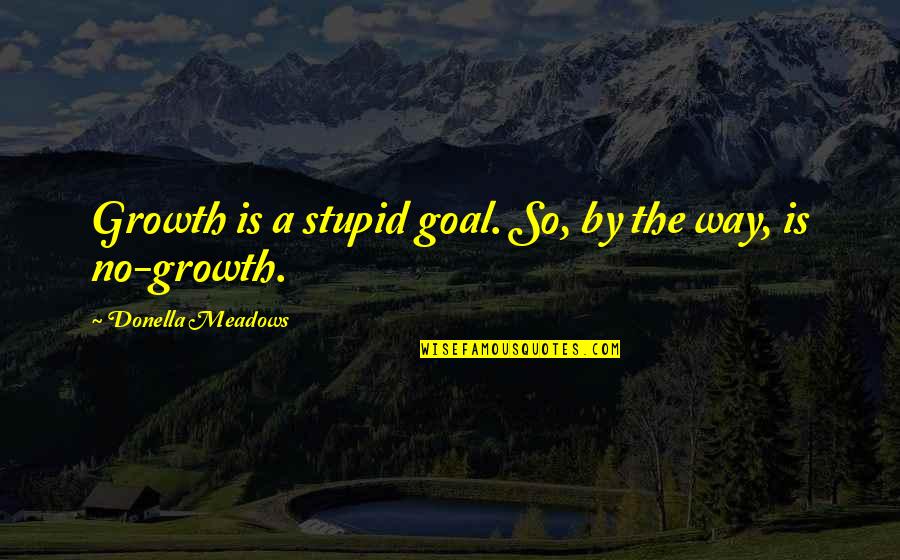 Chiseling Quotes By Donella Meadows: Growth is a stupid goal. So, by the Chiseling Quotes By Donella Meadows: Growth is a stupid goal. So, by the