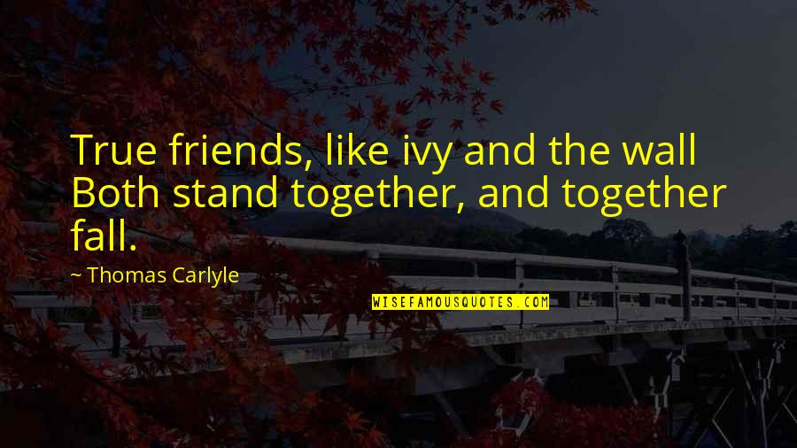 Chital Quotes By Thomas Carlyle: True friends, like ivy and the wall Both