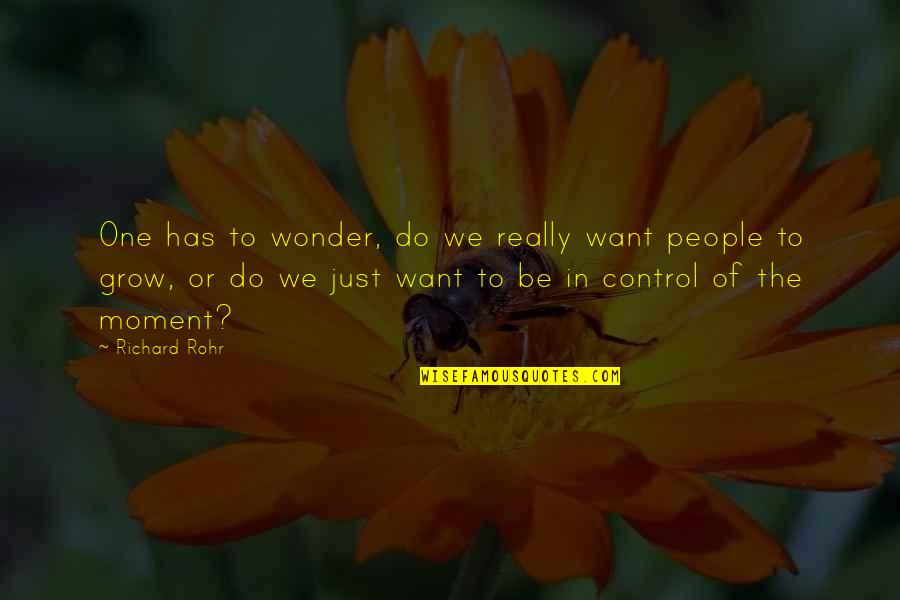 Chitarrista Rolling Quotes By Richard Rohr: One has to wonder, do we really want