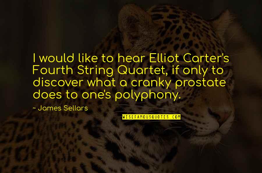 Chitkara School Quotes By James Sellars: I would like to hear Elliot Carter's Fourth